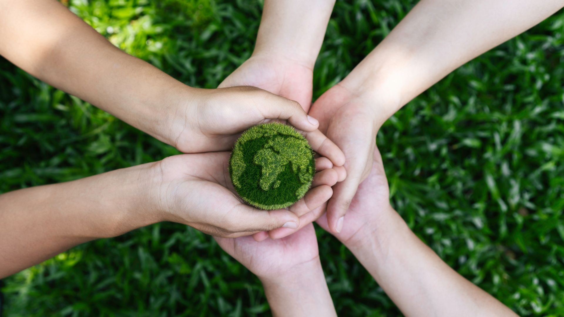 Why Is It Important to Teach Children About Environmental Responsibility?