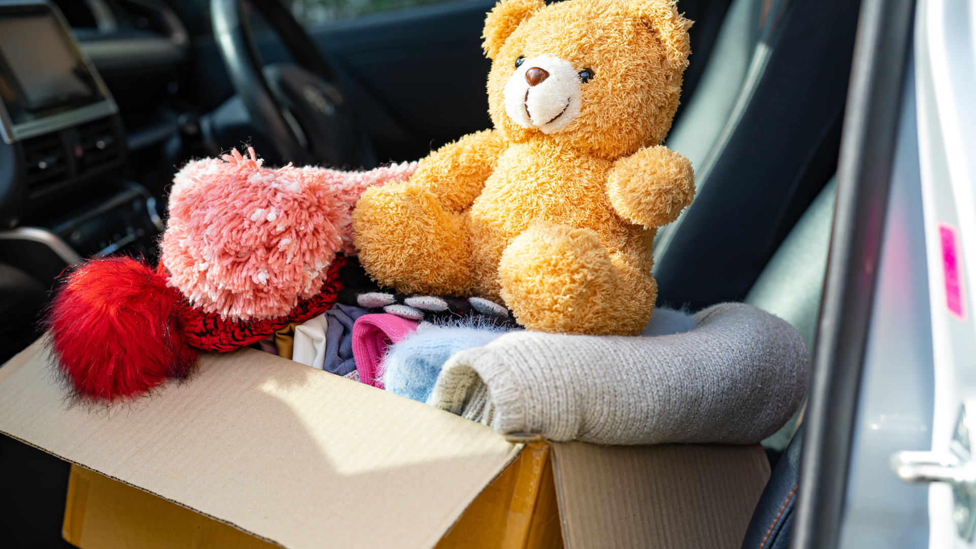 Am I Ready to Foster? Here’s How to Know