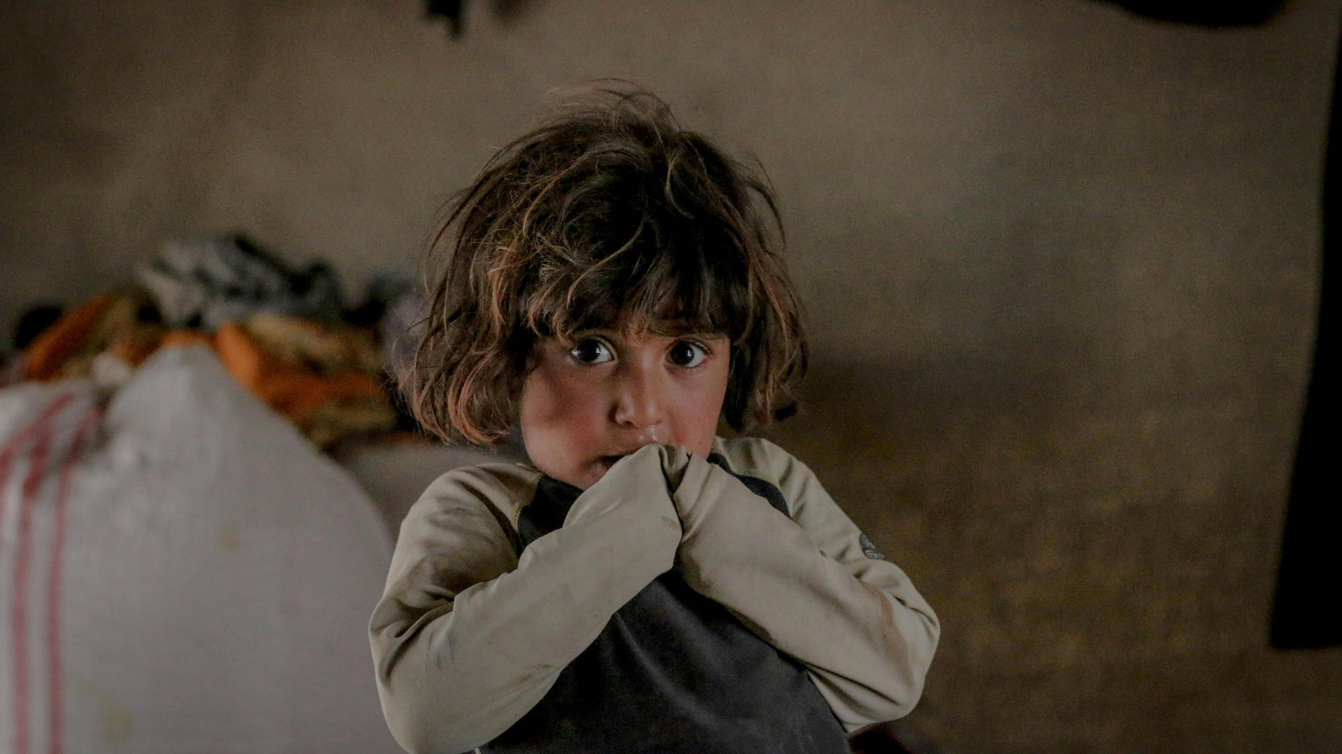 What Unique Challenges Do Foster Children Face In Finding Belonging?